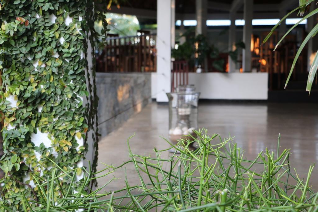 Hotel Brook Boutique à Melsiripura Extérieur photo